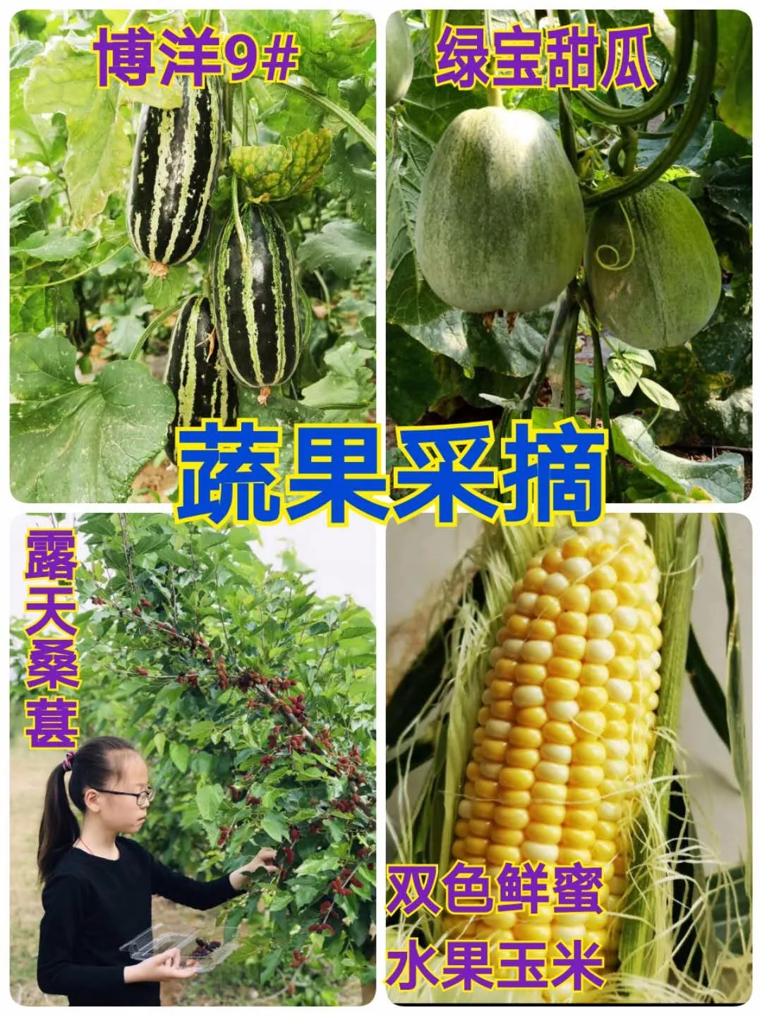 640_wx_fmt=jpeg&tp=webp&wxfrom=5&wx_lazy=1&wx_co=1.webp (4).jpg