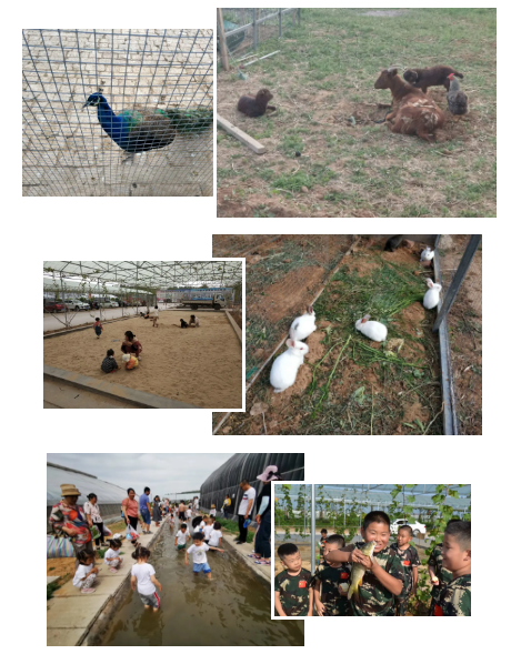 微信图片_20200430151435.png